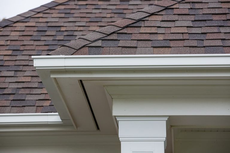 RainPro Gutters Washington DC LeafGuard Window World