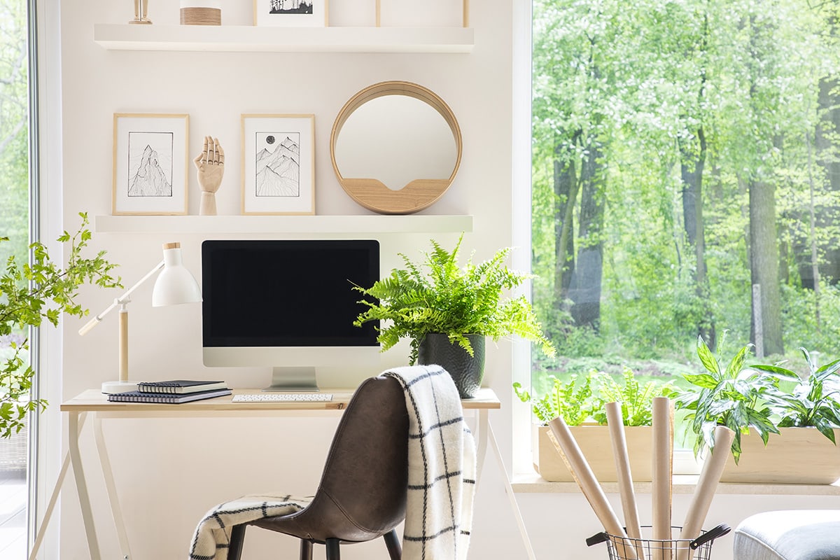 Feng Shui 101 Windows and Doors Window World of St. Louis